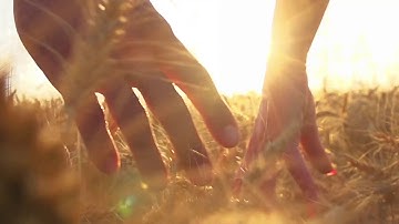 Website Header Video