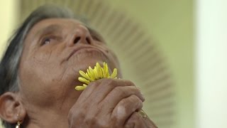 【Life Wisdom】20170508 - Setting an Example for the World by Putting Vows into Action
