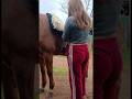 Preparando a la nave 🐴❤️