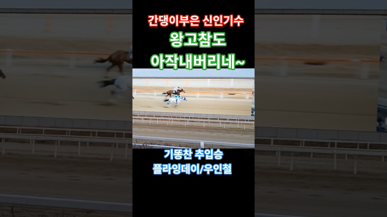 기똥찬추입승 #경마 #말 #달려라말 #shorts #horse