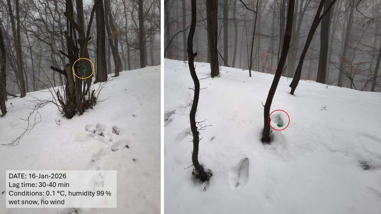 2026-Jan-16 Beata Search 10 min