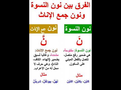 الفرق بين نون النسوة ونون جمع الإناث Shorts 