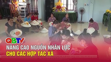 Nâng cao chất lượng nguồn nhân lực cho các Hợp tác xã | QBTV
