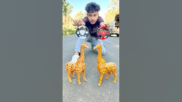 Remote Control Amar 2 Ta Zebra 🦓 Unboxing