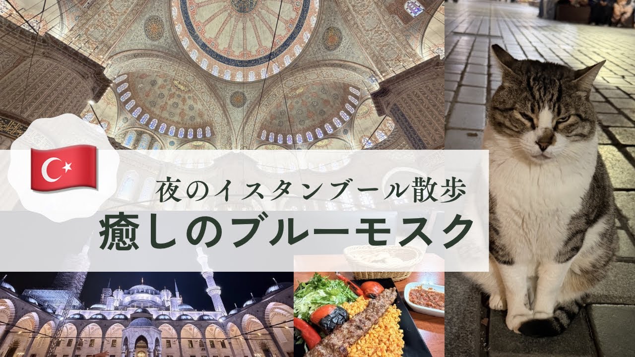 【🇹🇷】癒しのブルーモスク、夜のイスタンブール散歩