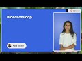 Bloedsomloop - Biologie - VMBO