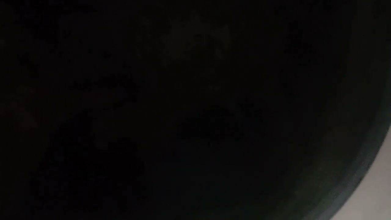 the last days trip Kalimatan Barat guyss data tanggal 5 januari 2026 dan up nya baru sekarang hhh