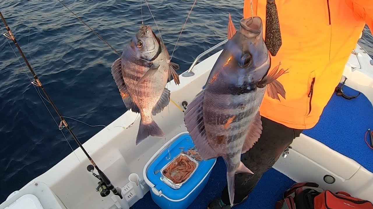 μελανα σκαθαρια-ενα αξεχαστο ψαρεμα.....!!!!!