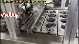 Linear Ice Cup 1-out-4 Filling & Sealing Machine