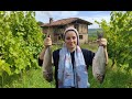 IRAN Village Life Baked Fresh Fish For Family Lunch Delicious Fish Cooking With Country Style