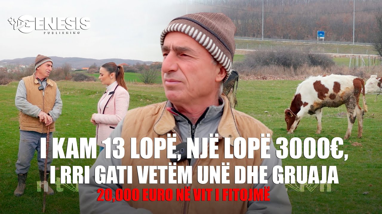 I kam 13 lopë, një lopë 3000€, i rri gati vetëm unë dhe gruaja – 20,000 euro në vit i fitojmë