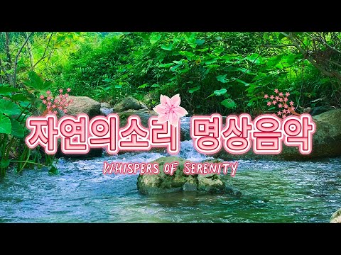 🌿깊은 휴식과 평온을 위한 힐링 명상 음악 🎶자연의소리 명상음악 🐦힐링음악
