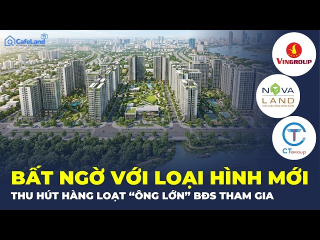 Chính phủ