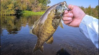 Insane Smallmouth Fishing at the Russian River! | Northern California | (epic fishing all day!!!!!)
