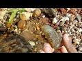 Garimpando na beira do rio com muitas pedras