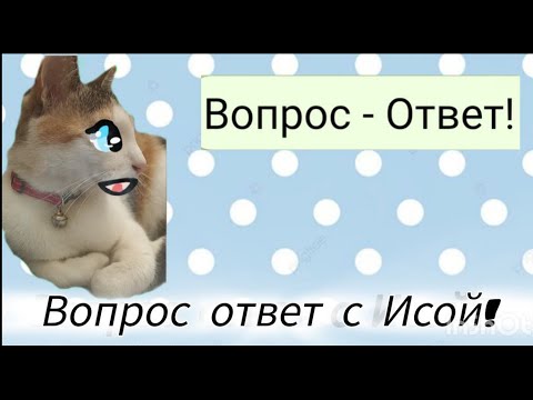 ВОПРОС - ОТВЕТ на 100 ПОДПИСЧИКОВ нашего ТЕЛЕГРАММ КАНАЛА! question-answer! #вопросответ