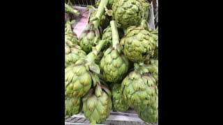 Foodies Discover Footscray Markets - Huge Dining Hall, Cafes & More