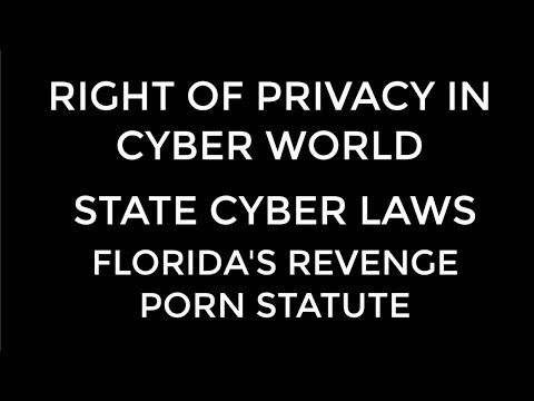 FLORIDA'S REVENGE PORN STATUTE: Fla. Stat. 784.049 - YouTube