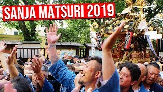 Tokyo's Amazing 三社祭 SANJA MATSURI 2019 at Sensoji Temple in Asakusa