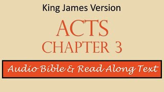 Acts 3 | KJV DRAMATIZED AUDIO BIBLE WITH TEXT