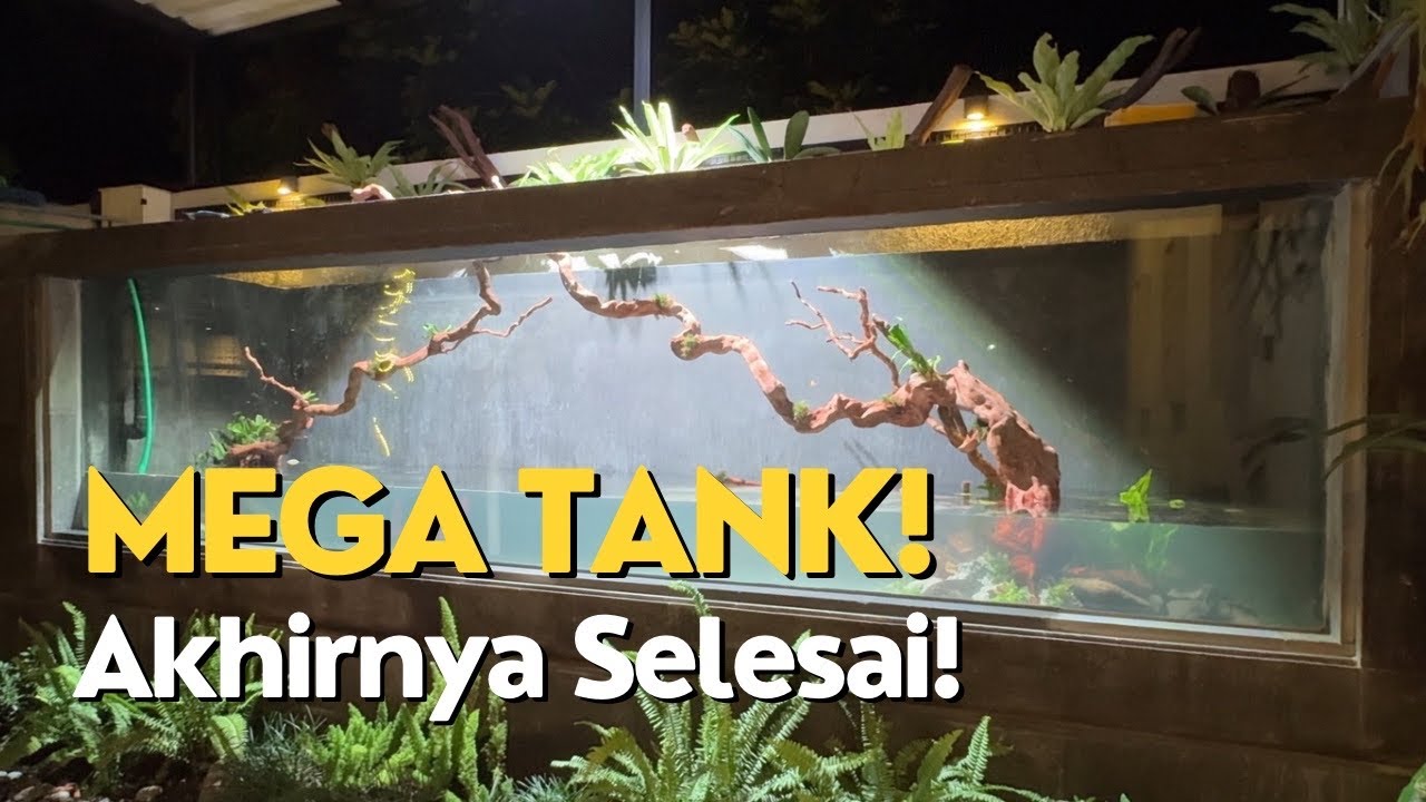 BUAT MEGA TANK DI HALAMAN RUMAH