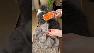 The Fur Peel Is So Satisfying! 🐱🪮 #catgrooming #catbrush #shorts