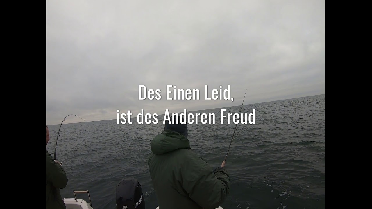 Angeln auf Dorsch Jan 2019