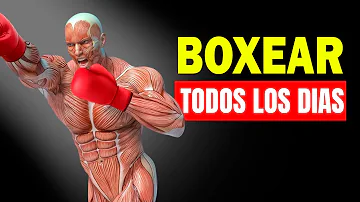 ¿Pueden los puñetazos al aire aumentar la masa muscular?