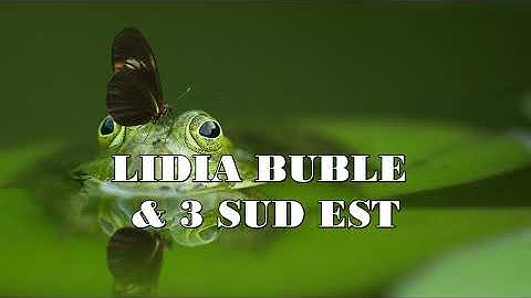 Lidia Buble x 3 Sud Est - Amandoi |1Hour repeat