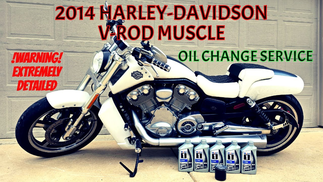 2014 HARLEY-DAVIDSON V-ROD MUSCLE Oil Change Service