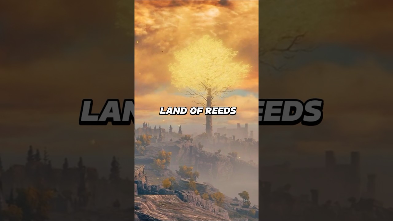 Land of Reeds Elden Ring 