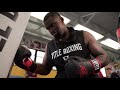 ALI Sting Training Gloves
