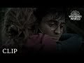 Harry Says Goodbye to Ron and Hermione | Harry Potter and The Deathly Hallows Pt. 2