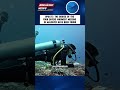 The bodies of the four remaining divers who had gone missing in the Maldives have been found