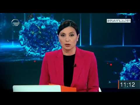 ნინო ვიბლიანმა სამეგრელოში არსებულ ვითარებაზე  ისაუბრა