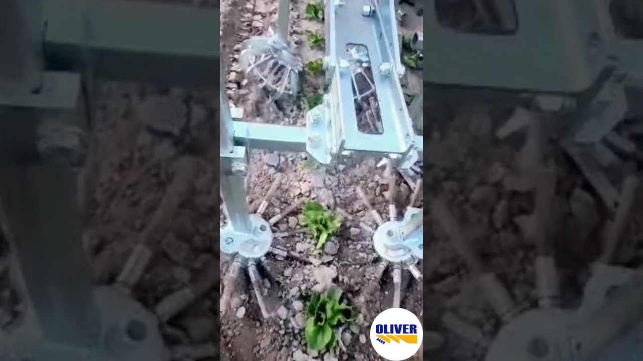 Rotostar la sarchiatrice meccanica interpianta