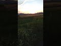 怒髪天【男、走る!】