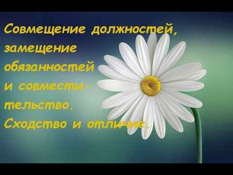 Совмещение должностей, замещение обязанностей и совместительство. Сходство и отличие.