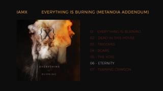 Video thumbnail of "IAMX - Eternity"