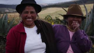 Chawar - 100% Agave Andino