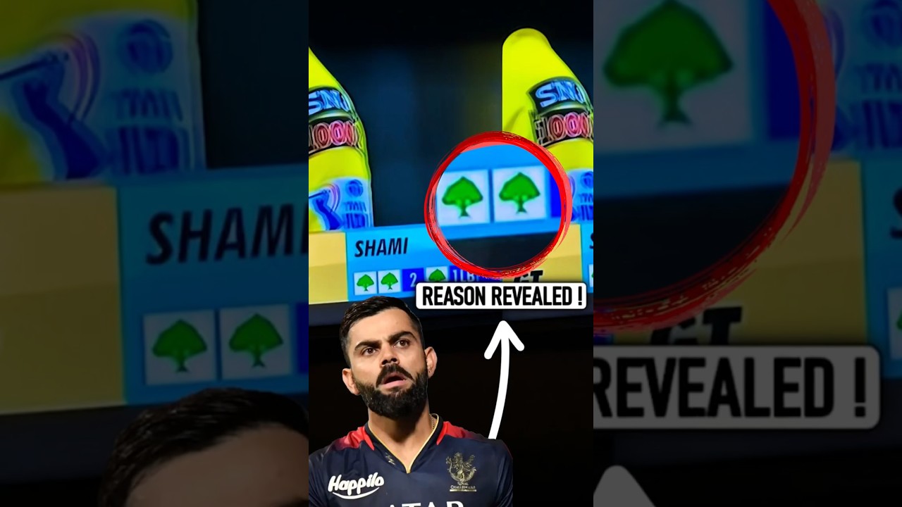 WPL Scorecard Secrets REVEALED in Just 5 Minutes