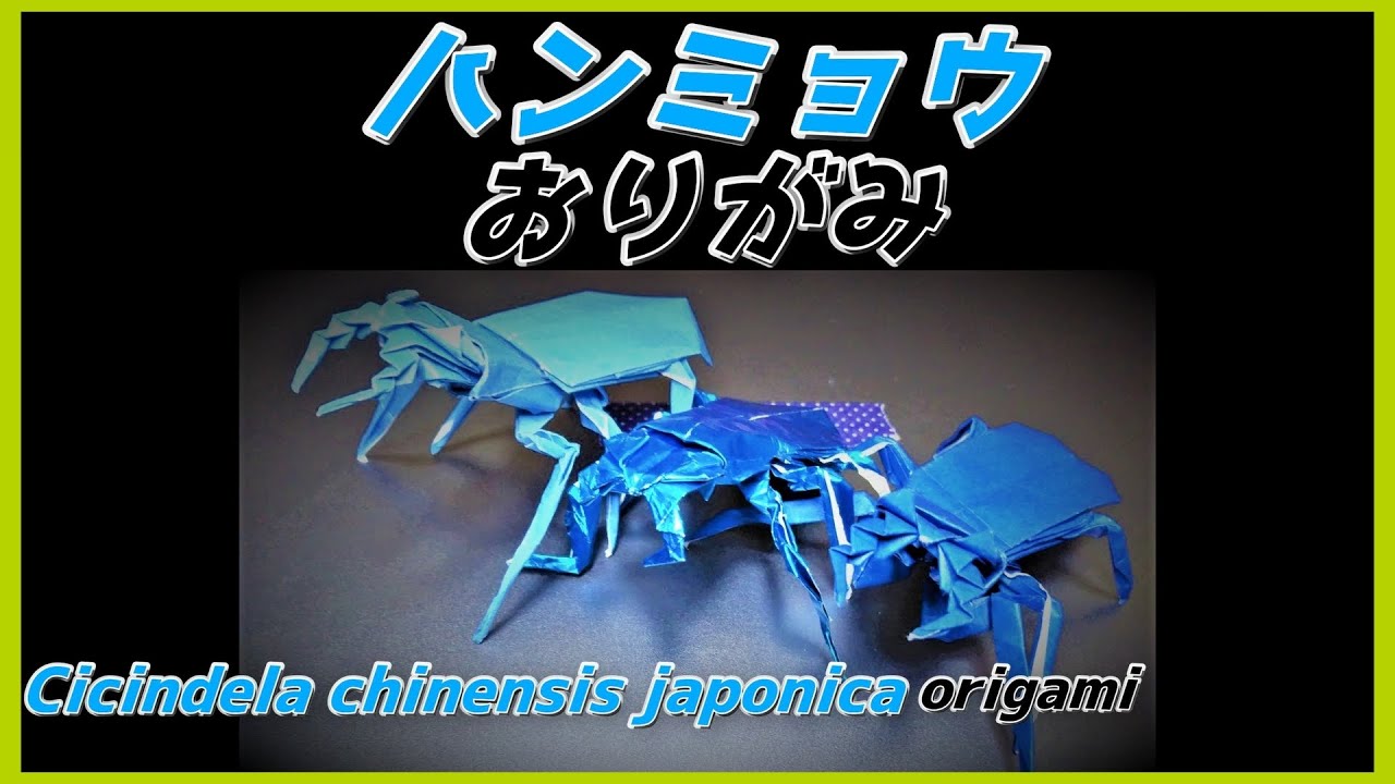 ハンミョウおりがみ(Cicindela chinensis japonica/Tiger beetle