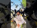 Eagle 🦅 attack 😱 #funny #islamicstoriesinurduandhindi #comedy #comedyvidoes #entertainment