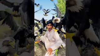 Eagle 🦅 attack 😱 #funny #islamicstoriesinurduandhindi #comedy #comedyvidoes #entertainment