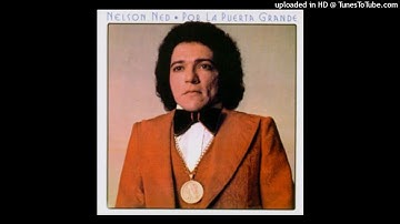 Nelson Ned - Desición