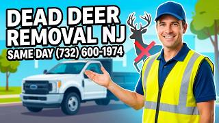 Dead Deer Removal Flemington NJ | Emergency Same-Day Deer Pickup Near You - Call Now (732) 600-1974