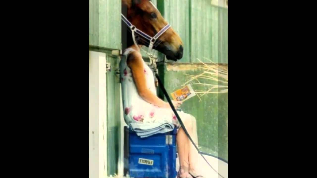 funny picture collage 1 @ sweetlory