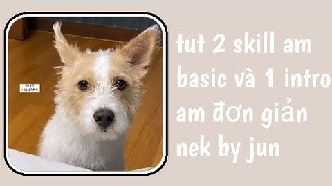 tut 2 skill am basic và 1 intro am đơn giản nek