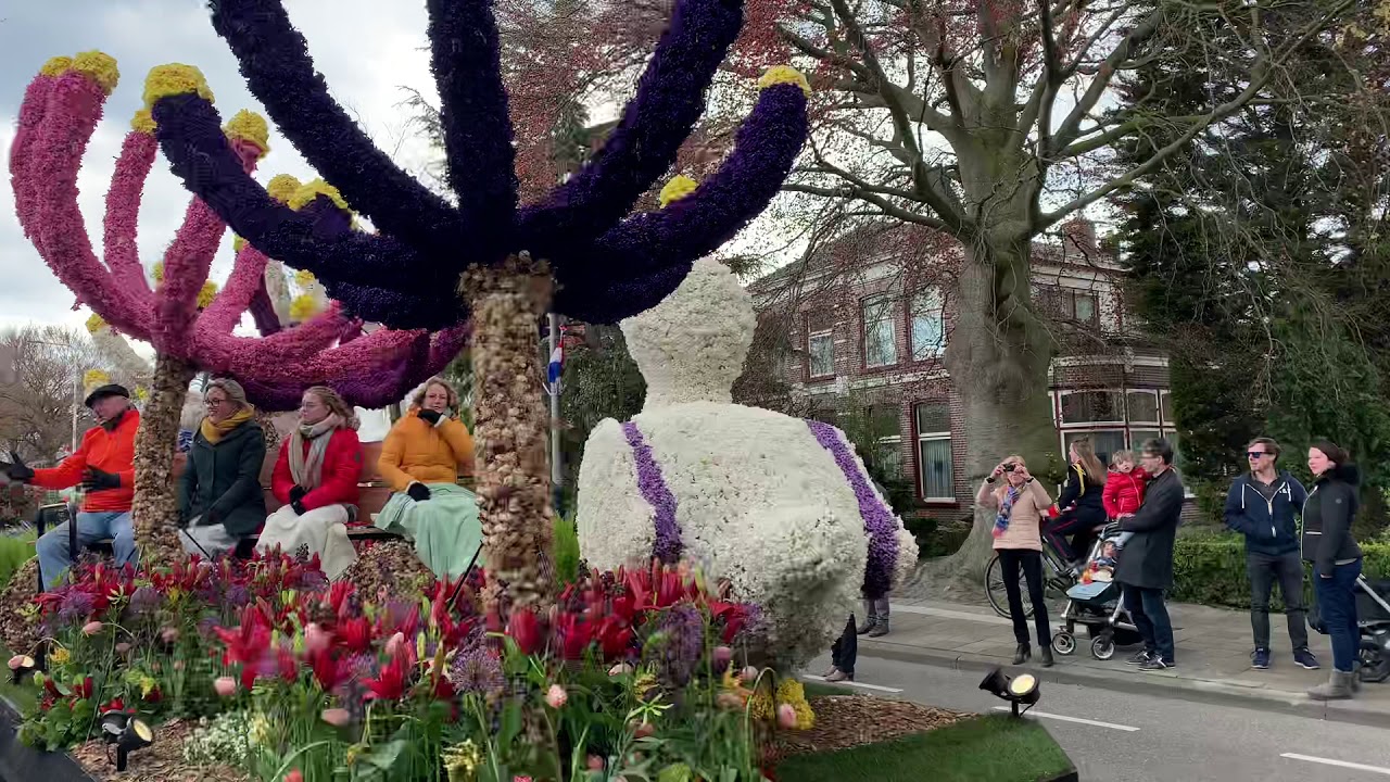 Flower Parade Netherlands 13Apr2019 YouTube