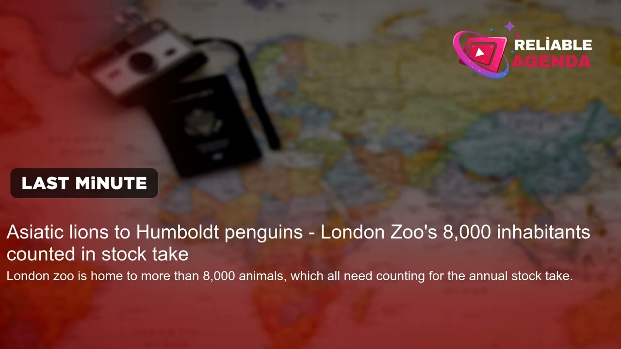Asiatic lions to Humboldt penguins - London Zoo's 8,000 inhabitants counted in stock take